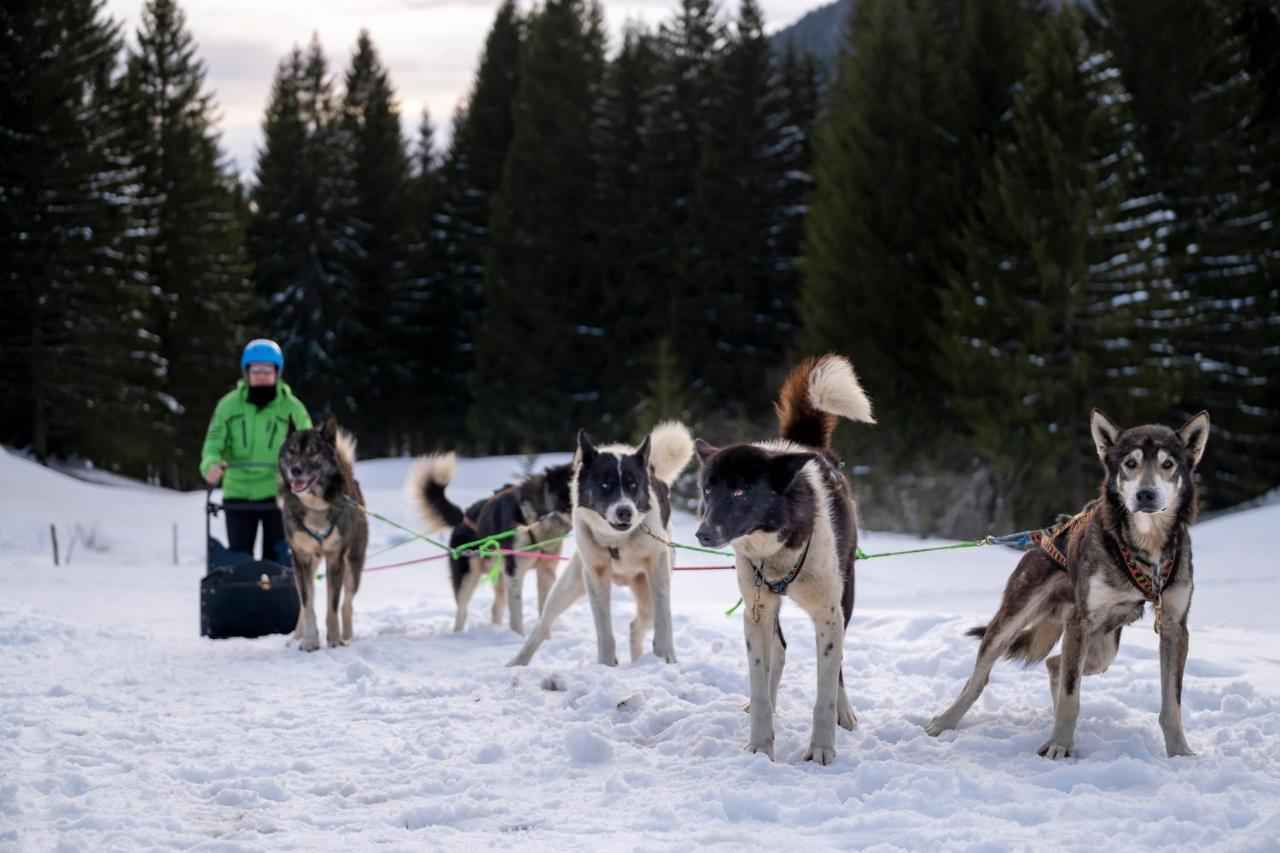 Vvf Les Monts Jura Hotell Lélex Exteriör bild