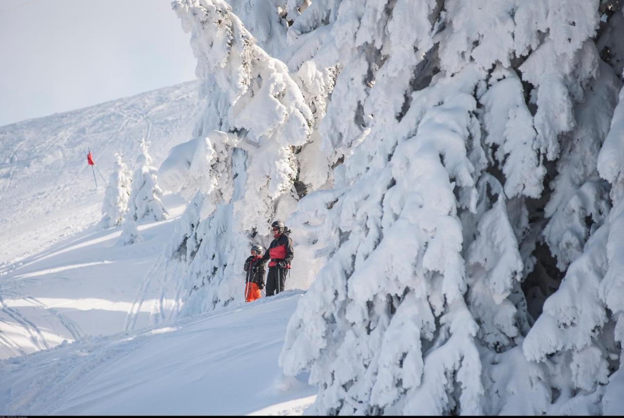 Vvf Les Monts Jura Hotell Lélex Exteriör bild